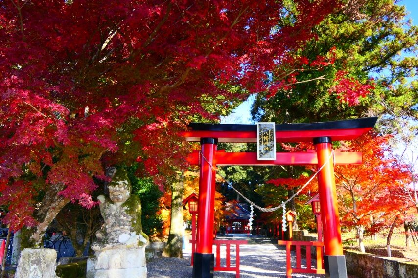郡山八幡神社①