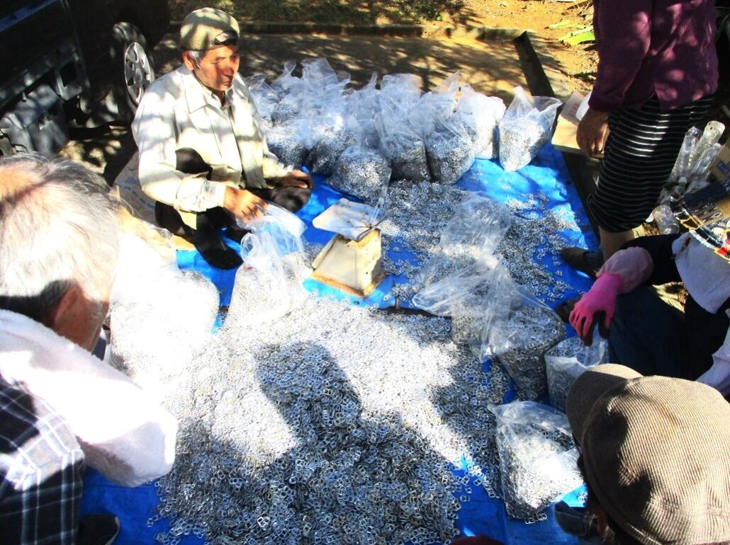 プルタブ仕分け