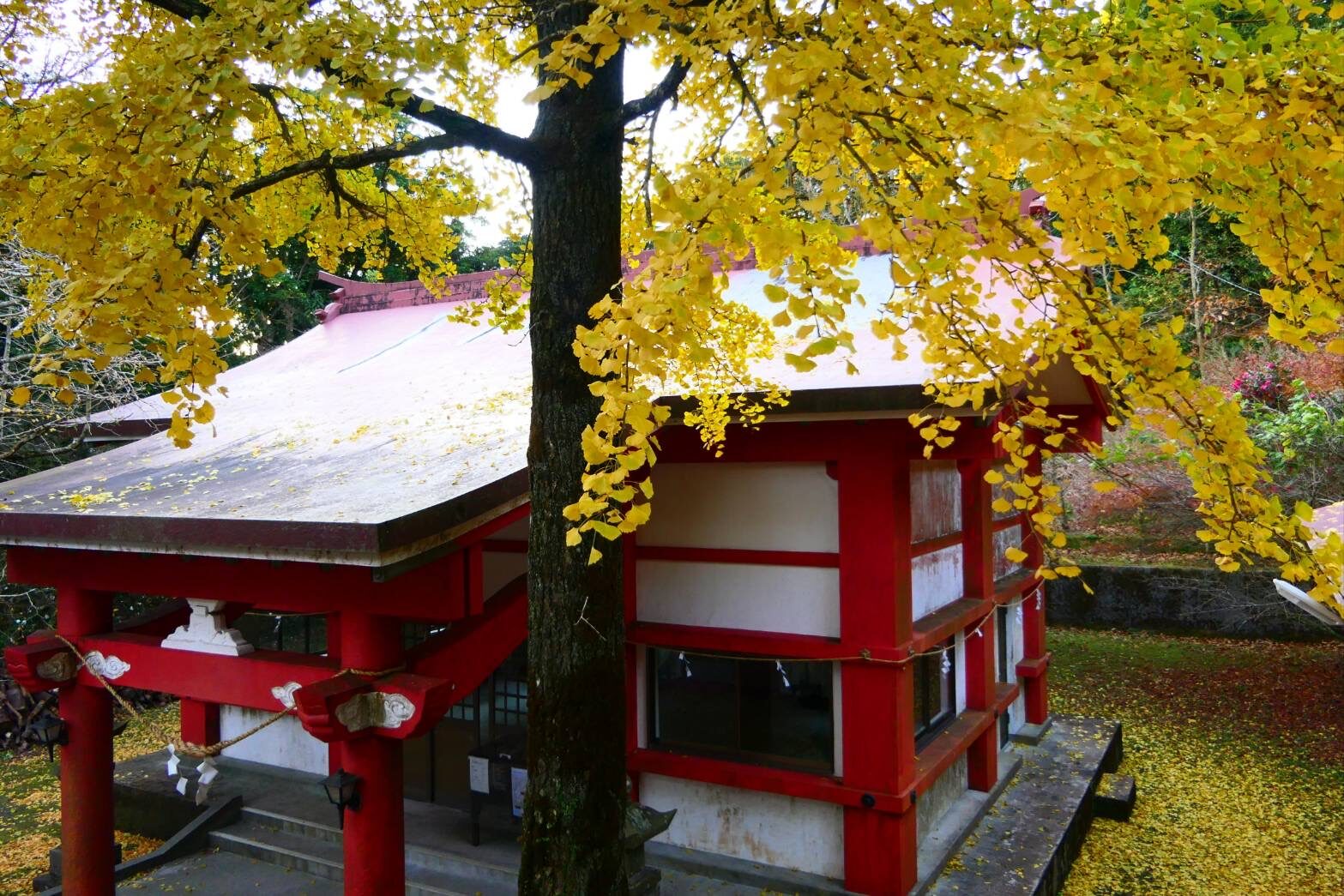 大野岳神社の紅葉-2