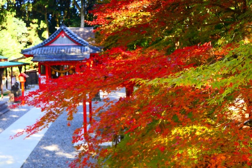 郡山八幡神社②