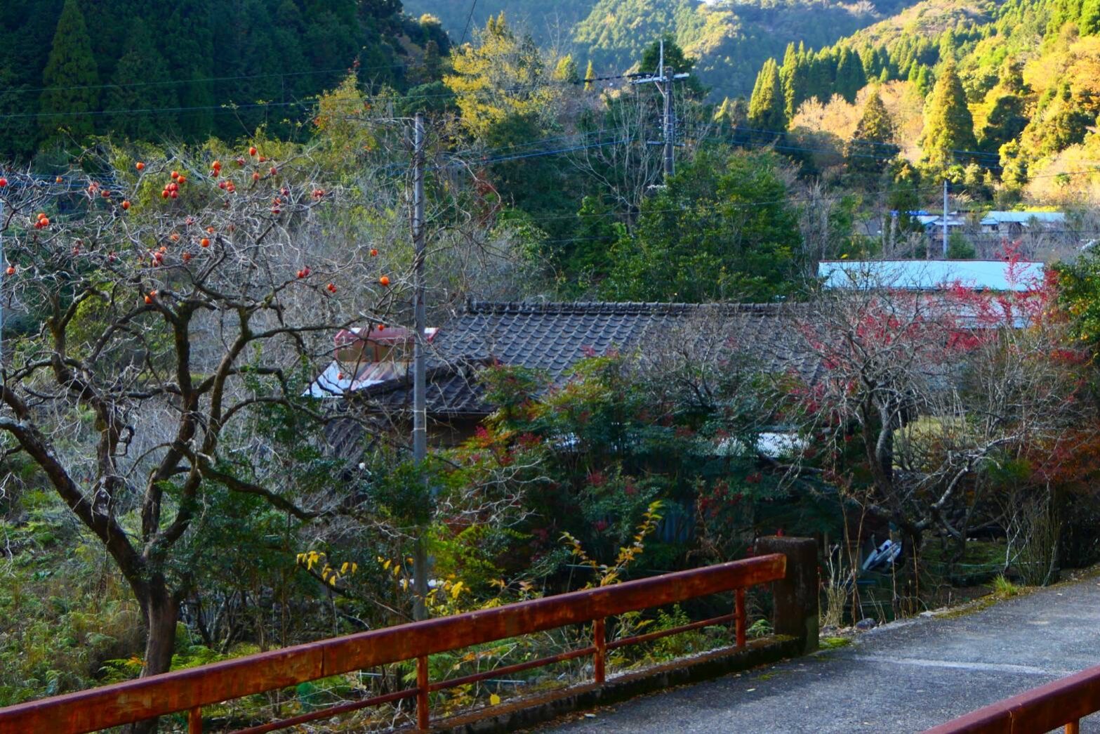 日本の原風景を想い出させる布計地区-3