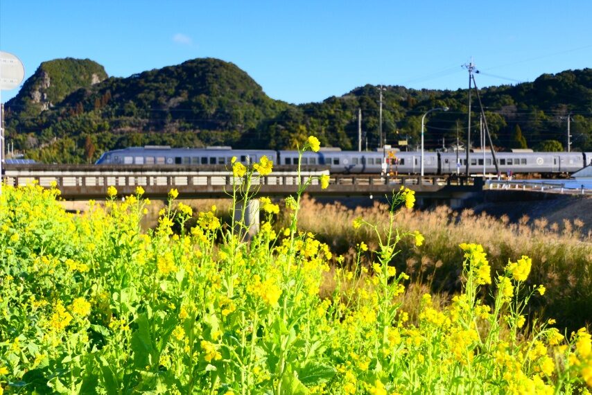 特急きりしまが通過