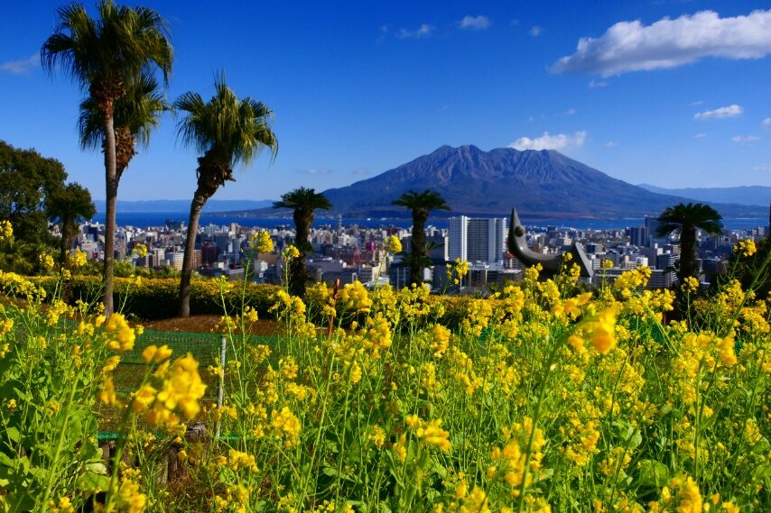 ナノハナ（長島美術館）