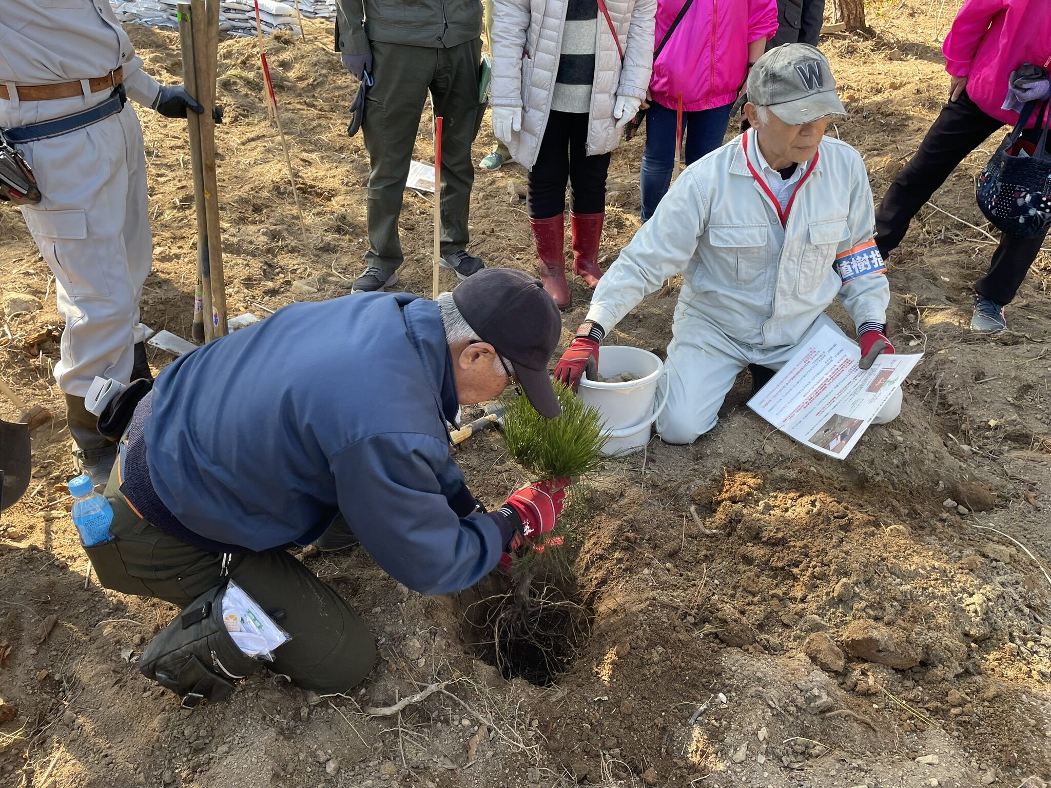植樹-2