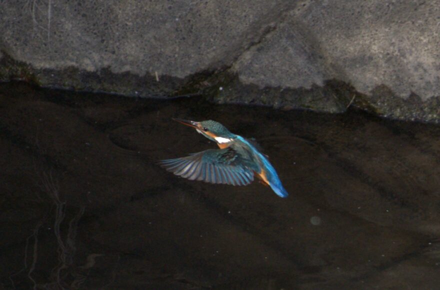 4b6a115b0e1ac7a9abdeb220f3972ed2