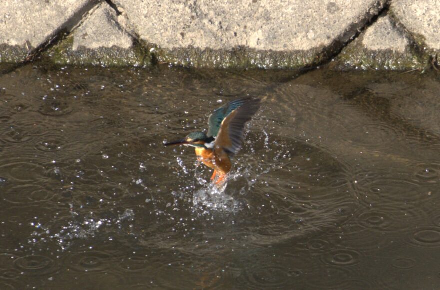 751f0ae3f660745c0d08dd785bd671c2