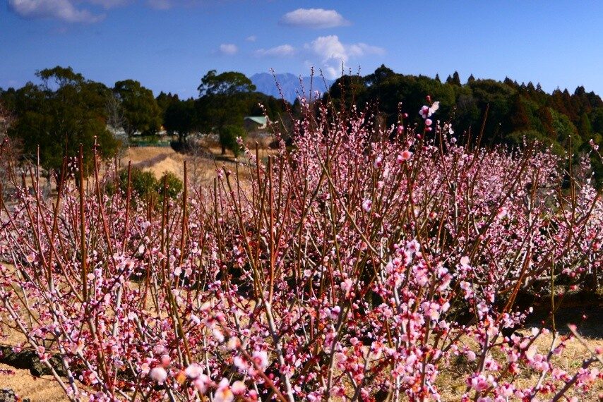 78d87e01-3b5d-478d-a77e-de9fe698780e