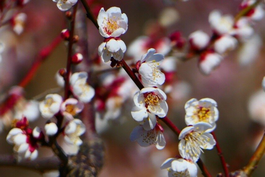 c3cf5f6c-1266-4c16-8aa5-322de49affff