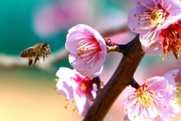 c729aefb-7b7d-48b4-b675-76b358921423