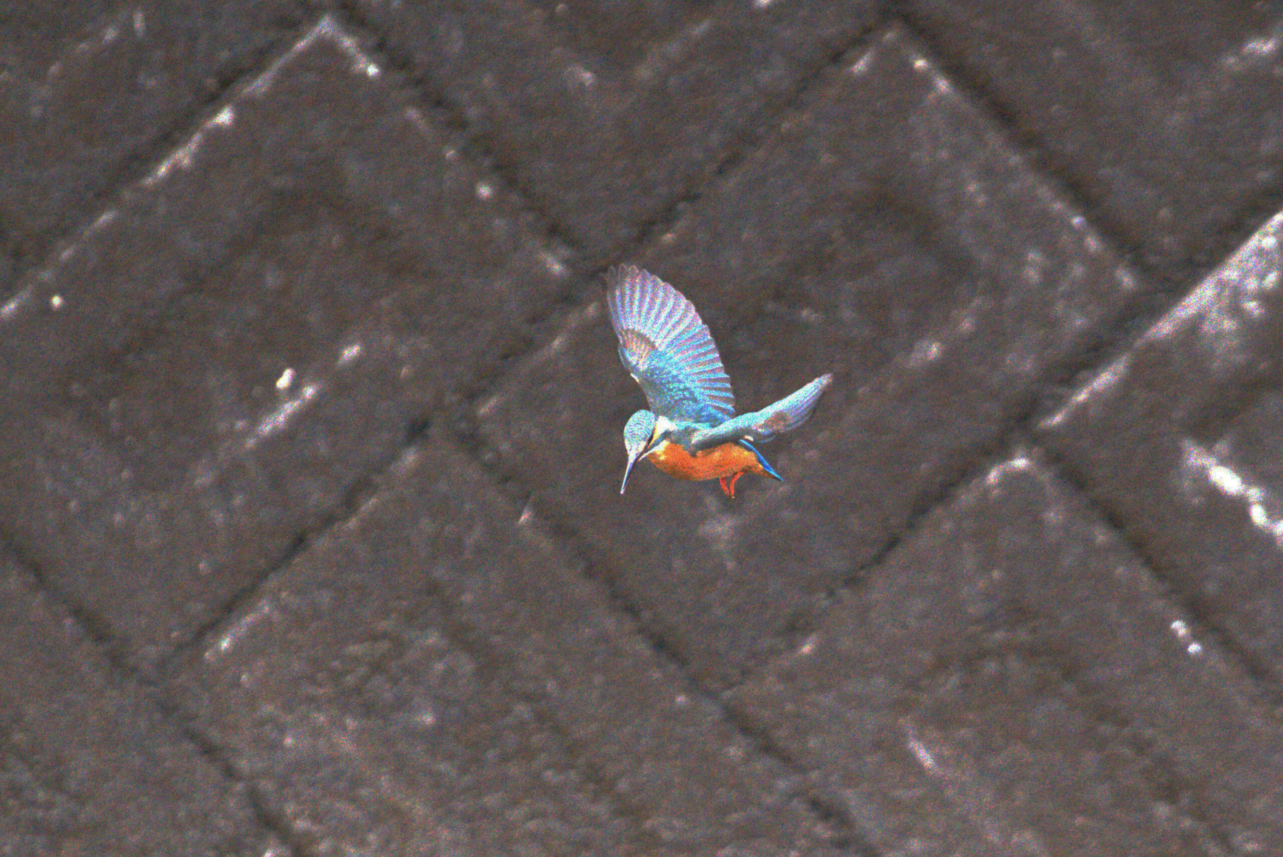 d3078abbfc458db100faf9a5dd69e9ec