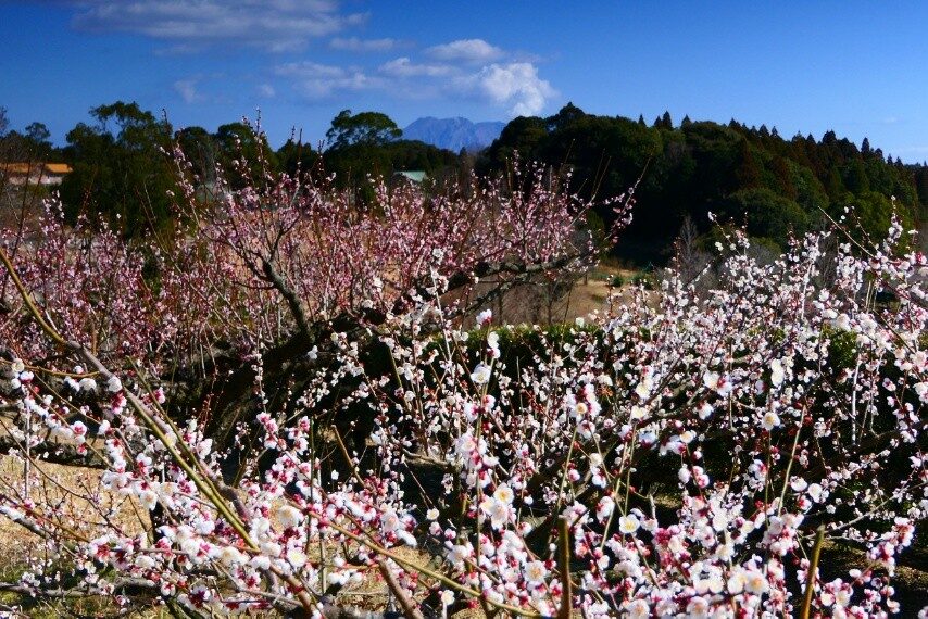 e9efc4d0-5ccd-4c0d-b05a-cb34be6980f9