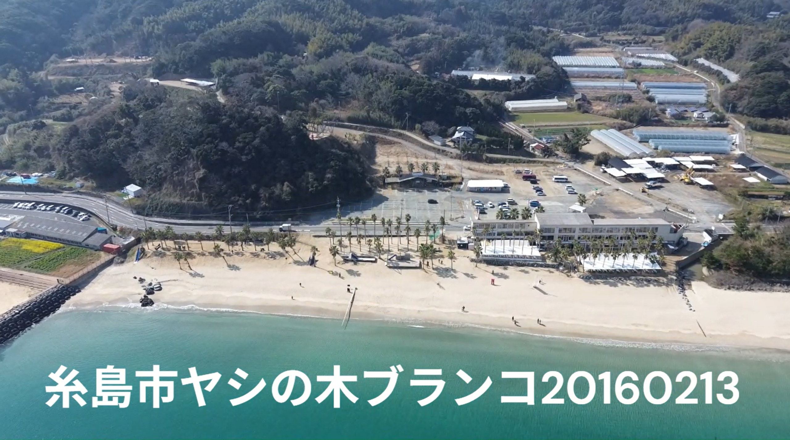 ヤシの木ブランコ1