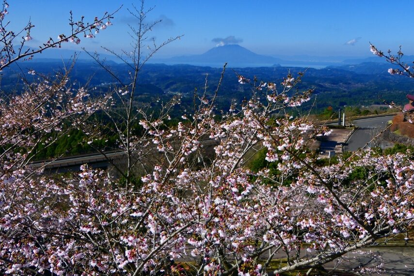 神話の里 遠くに桜島