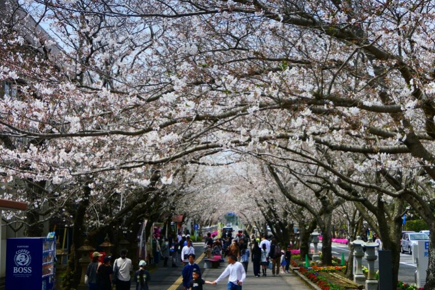 知覧平和公園-1