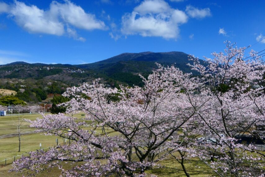 霧島高原国民休養地 遠くに韓国岳