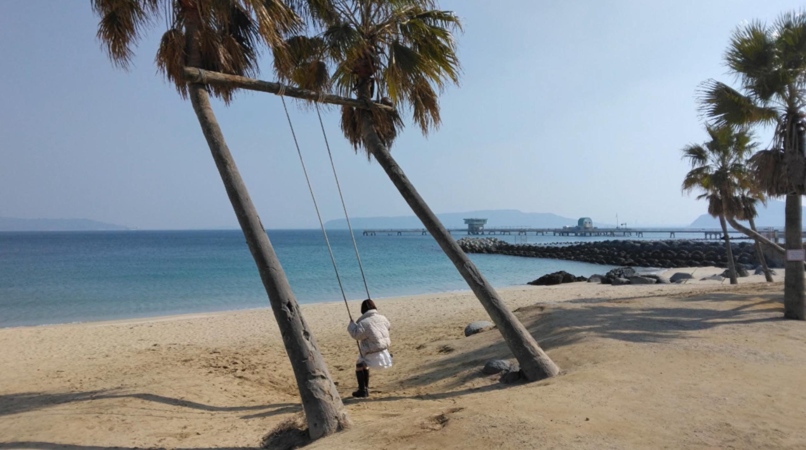 ヤシの木ブランコ2