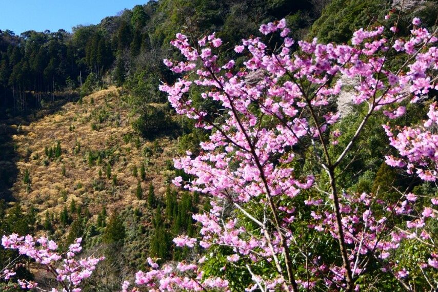 bbf0972c-8891-4fc2-926e-5893a93f32d6