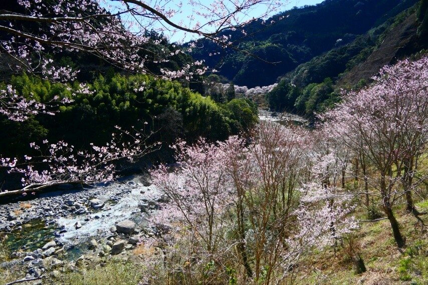 d0eb1903-2704-4ae9-bb22-fef83b7741f8