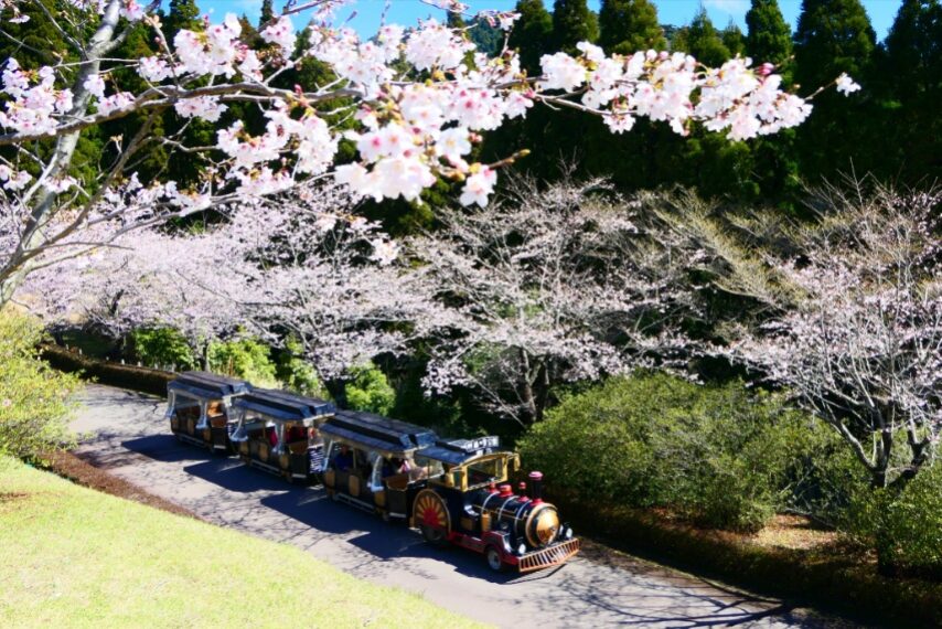 神話の里 ロードトレイン(ポッポ号)