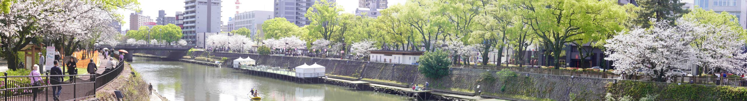 81101db86fc9fa0d1bf2ed0b39e65f26-2